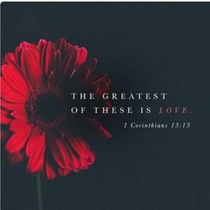 Meet your Posher, Neysa